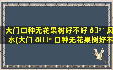 大门口种无花果树好不好 🪴 风水(大门 🌺 口种无花果树好不好风水讲究)